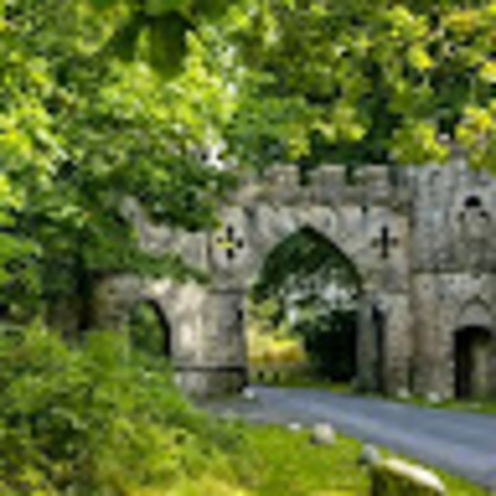 Meet your Posher, Connie